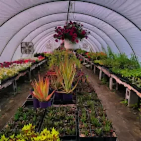 Bild von Veronica's Gardens Stone Ridge Nursery