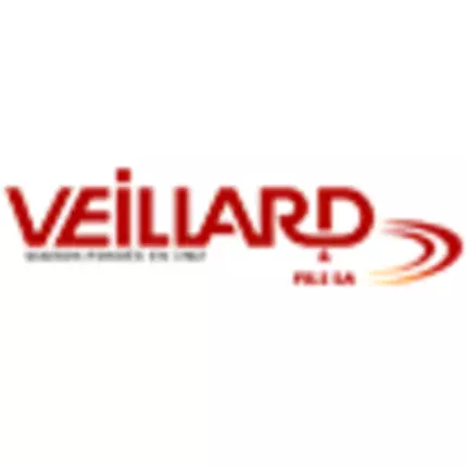 Logotyp från Veillard & Fils SA