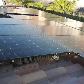 We provide professional solar panel pigeon and bird proofing