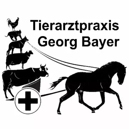 Logo von Tierarztpraxis Georg Bayer