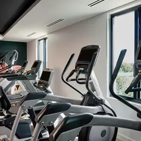 Health club  fitness center  gym