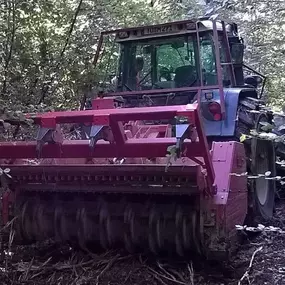 Bild von Huber Natur-Dienstleistungen