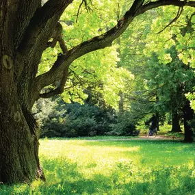 Spend time outdoors at nearby Battery Park