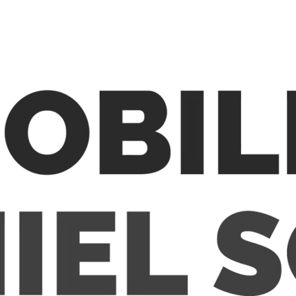 Logo od Immobilienmakler Daniel Schulz