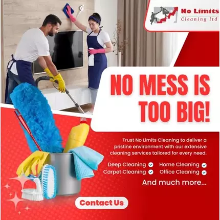 Logo od No Limits Cleaning Ltd