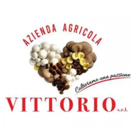 Logo von Azienda Agricola Vittorio