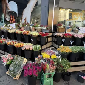 Bild von Blumen Gebr. Spangenberg Essen