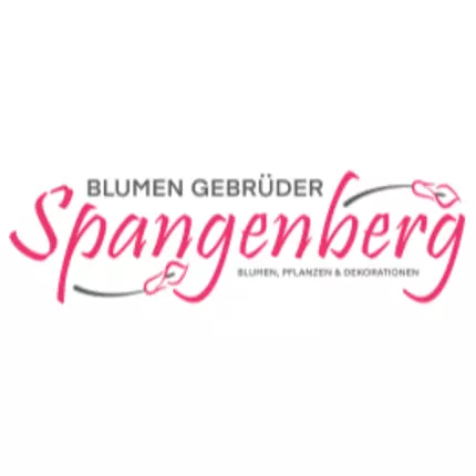 Logotyp från Blumen Gebr. Spangenberg Essen