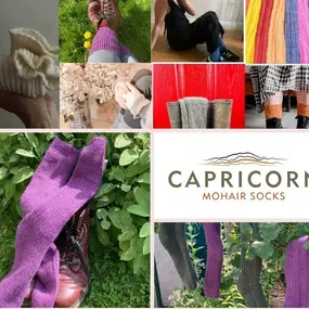 Bild von Capricorn Mohair Socks