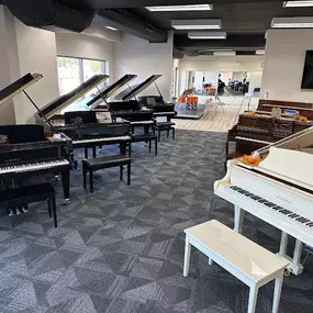 This image showcases an array of grand pianos, including polished black and white models, displayed in the Brock Family Music showroom. The arrangement highlights the variety of sizes and finishes available to customers.