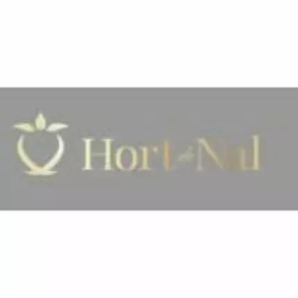 Logo od Hotel Boutique Hort De Nal Elche centro