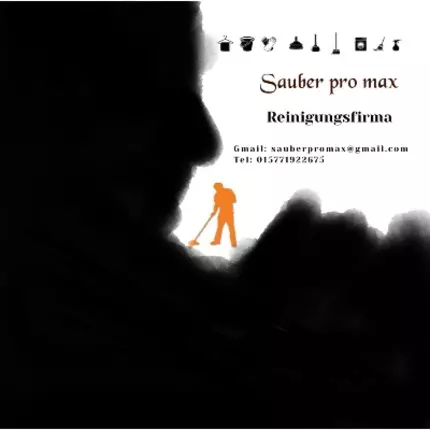 Logo von Sauber Pro Max