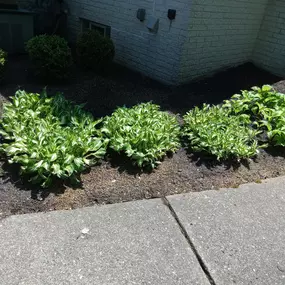 Bild von MRK Landscaping & Snowplowing