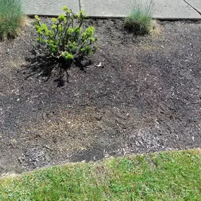 Bild von MRK Landscaping & Snowplowing