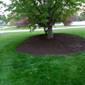 Bild von MRK Landscaping & Snowplowing