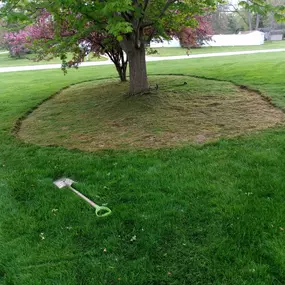Bild von MRK Landscaping & Snowplowing