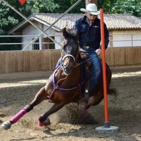 Bild von DB Horse Performance A.S.D.