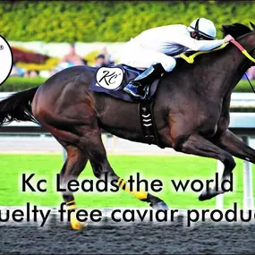 Bild von KC Caviar