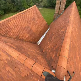 Bild von The Roof Cleaning Experts