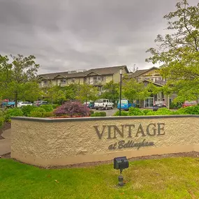 VINTAGE AT BELLINGHAM