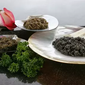 Bild von House of Caviar and Fine Foods