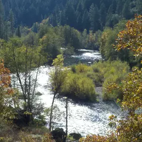 Bild von Cabins at River Mountain Guest Ranch