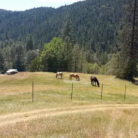 Bild von Cabins at River Mountain Guest Ranch