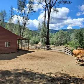 Bild von Cabins at River Mountain Guest Ranch