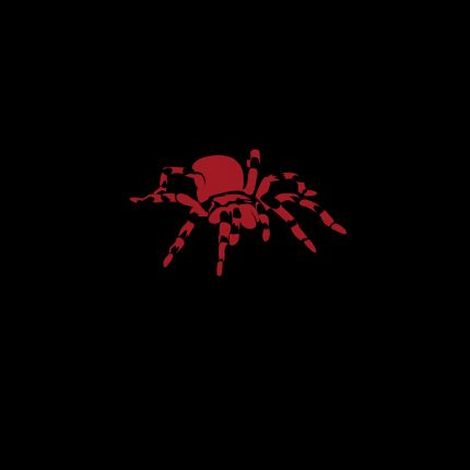 Logótipo de Rescue Spider UG (haftungsbeschränkt)