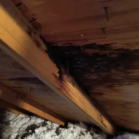 Ongoing roof leak that showed exposed roof rot.