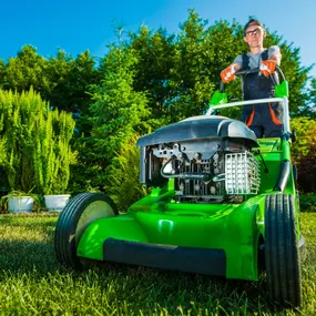 Bild von Lawn Care Lincoln