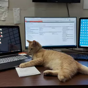 That one coworker who won't let you get anything done.