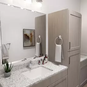 A bathroom with a sink and a closet