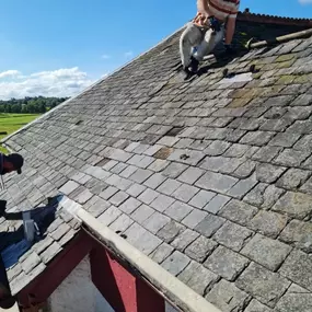 Bild von Roofcheck