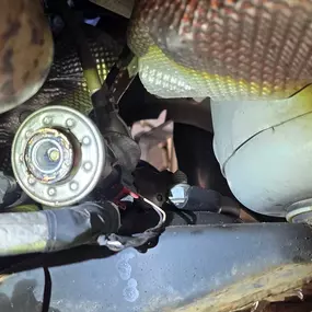 Bild von DPF Cleaning - DPF TECH
