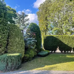 Bild von Oakfern Tree And Landscapes