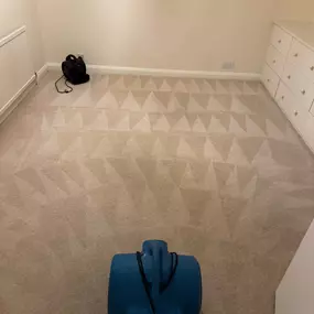 Bild von Amber Cleaning Team Ltd