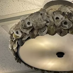 Bild von Ferguson Home