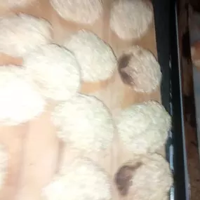 Bild von SweetE Bakery and Foods