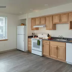 Apartment Kitchen