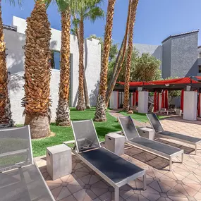 a patio with chairs and palm trees