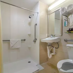 Mobility Accessible Bathroom / Roll In Shower