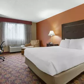 1 Bed