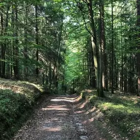 Bild von Landgasthof-Pension Muhr