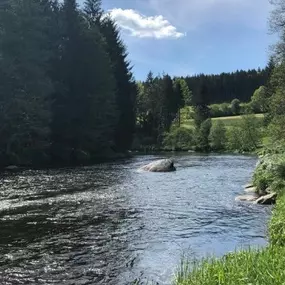 Bild von Landgasthof-Pension Muhr