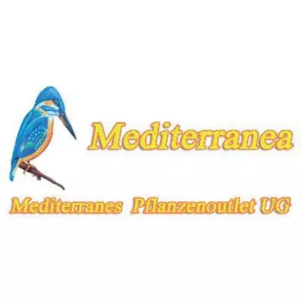 Logo from Mediterranea Mediterranes Pflanzenoutlet