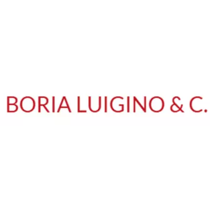 Logo van Boria Luigino & C.