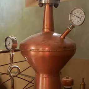 Bild von Distilleria Sancarlo