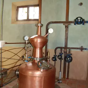 Bild von Distilleria Sancarlo