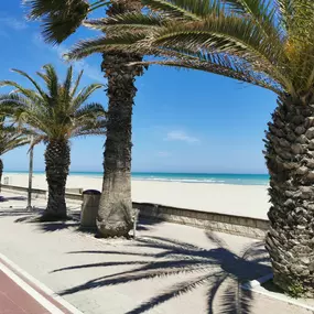 Bild von Appartamento Il Gelsomino Tortoreto Abruzzo